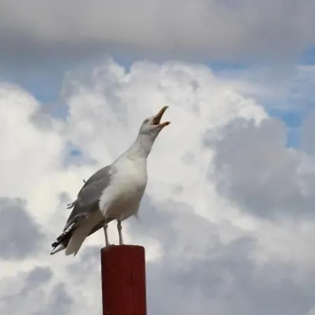 Dünenhus 3 Apartment *